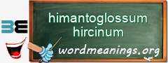 WordMeaning blackboard for himantoglossum hircinum